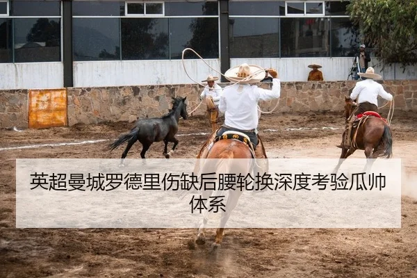 ying-chao-man-cheng-luo-de-li-shang-que-hou-yao-lun-huan-shen-du-kao-yan-gua-shuai-ti-xi-2-623.jpg